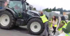 Ne vitatkozz egy olyan farmerrel, akit nem ismersz (Vegán tüntetés)