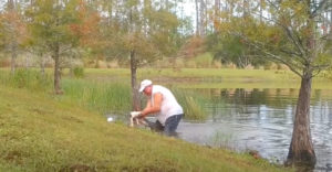 Szivarral a szájában ugrott a vízbe, hogy lebirkózza a kiskutyáját elragadó aligátort a 74 éves floridai nyugdíjas