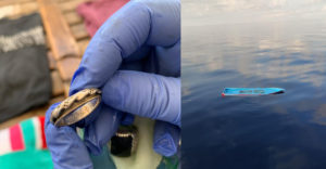 A tenger közepén találtak egy hátizsákot, amelyben gyűrűk is voltak. Néhány nap alatt kinyomozták a tulajdonosokat