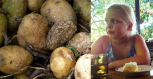 A 8 éves kislány története, aki a krumpli miatt veszítette el a családját. A hiba, melyre neked is ügyelned kellene