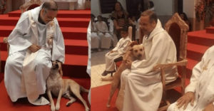 A jószívű brazil pap, aki kóbor kutyákat visz a misére, hogy segítsen nekik szerető otthont találni