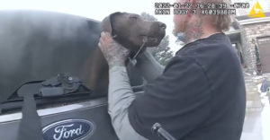 A lángoló autóból mentett ki a rendőr egy kutyát (Az internet hőse)