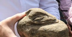 Földje ásása közben talált egy 4500 éves szobrot egy gázai farmer. A lelet meghatotta a régészeket az egész világon