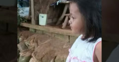 Egy kislány a különleges erejével hívta magához a szúnyogokat (Mint egy mágnes)