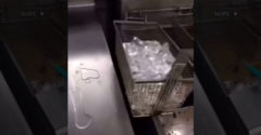 VIDEÓ: Nem volt hala, megpróbálta megsütni a jeget (Egy IQ bajnok)
