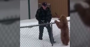 VIDEÓ: A férfi ellapátol egy halom havat, csak hogy köszönhessen a szomszéd kutyájának