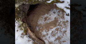 VIDEÓ: Talált egy nagy üreget az erdő közepén. (Meglepetés a belsejében)