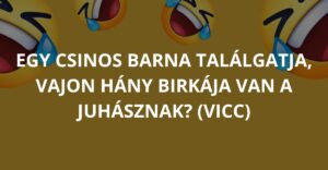Egy csinos barna találgatja, vajon hány birkája van a juhásznak? (Vicc)