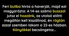 Feri meghívta a haverját egy buliba, és meghagyta neki, hogy a könyökével csöngessen (Vicc)