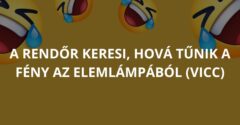 A rendőr keresi, hová tűnik a fény az elemlámpából (Vicc)