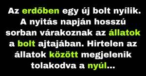 Az erdőben egy új bolt nyílik (Vicc)