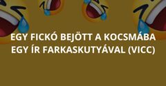 Egy fickó bejött a kocsmába egy ír farkaskutyával (Vicc)