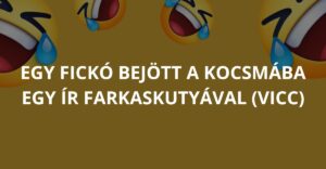 Egy fickó bejött a kocsmába egy ír farkaskutyával (Vicc)