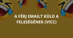 A férj emailt küld a feleségének (Vicc)