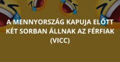 A mennyország kapuja előtt két sorban állnak az férfiak (Vicc)