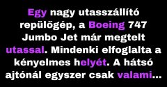 A repülőgép utasai aggódni kezdtek, ahogy megpillantják a két vak pilótát (Vicc)