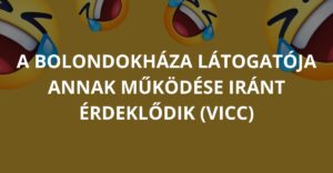 A bolondokháza látogatója annak működése iránt érdeklődik (Vicc)