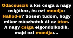 A kis csiga tanulja, hogyan kell átkelni az úton (Vicc)