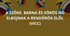 A szőke, barna és vörös nő elbújnak a rendőrök elől (Vicc)