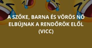 A szőke, barna és vörös nő elbújnak a rendőrök elől (Vicc)