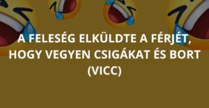 A feleség elküldte a férjét, hogy vegyen csigákat és bort (Vicc)