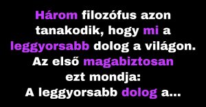 Három filozófus azt vitatja, hogy mi a leggyorsabb a világon (Vicc)