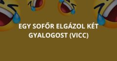 Egy sofőr elgázol két gyalogost (Vicc)