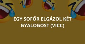 Egy sofőr elgázol két gyalogost (Vicc)