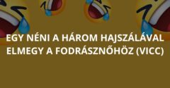 Egy néni a három hajszálával elmegy a fodrásznőhöz (Vicc)