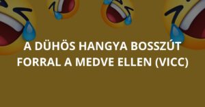 A dühös hangya bosszút forral a medve ellen (Vicc)