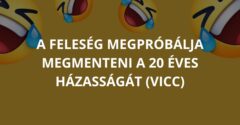 A feleség megpróbálja megmenteni a 20 éves házasságát (Vicc)