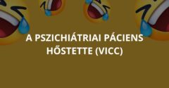 A pszichiátriai páciens hőstette (Vicc)