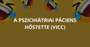 A pszichiátriai páciens hőstette (Vicc)