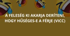 A feleség ki akarja deríteni, hogy hűséges-e a férje (Vicc)