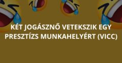 Két jogásznő vetekszik egy presztízs munkahelyért (Vicc)