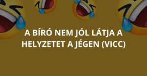 A bíró nem jól látja a helyzetet a jégen (Vicc)
