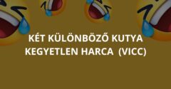 Két különböző kutya kegyetlen harca (Vicc)