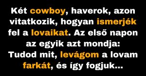 Két cowboy azon vitatkozik, hogyan fogják megkülönböztetni a lovaikat (Vicc)