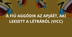 A fiú aggódik az apjáét, aki leesett a létráról (Vicc)