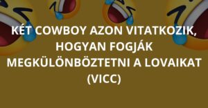 Két cowboy azon vitatkozik, hogyan fogják megkülönböztetni a lovaikat (Vicc)