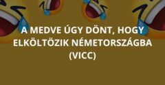 A medve úgy dönt, hogy elköltözik Németországba (Vicc)