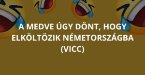 A medve úgy dönt, hogy elköltözik Németországba (Vicc)
