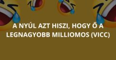 A nyúl azt hiszi, hogy ő a legnagyobb milliomos (Vicc)