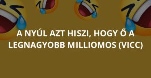 A nyúl azt hiszi, hogy ő a legnagyobb milliomos (Vicc)