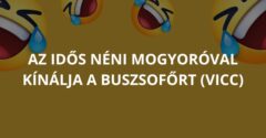 Az idős néni mogyoróval kínálja a buszsofőrt (Vicc)