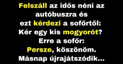 Az idős néni mogyoróval kínálja a buszsofőrt (Vicc)