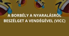 A borbély a nyaralásról beszélget a vendégével. (Vicc)