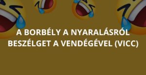 A borbély a nyaralásról beszélget a vendégével. (Vicc)