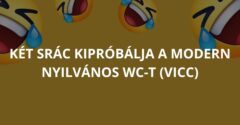 Két srác kipróbálja a modern nyilvános WC-t (Vicc)