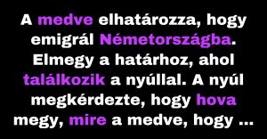 A medve úgy dönt, hogy elköltözik Németországba. (Vicc)